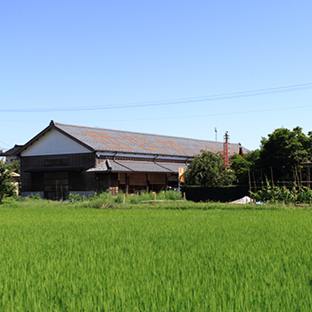 団四郎について